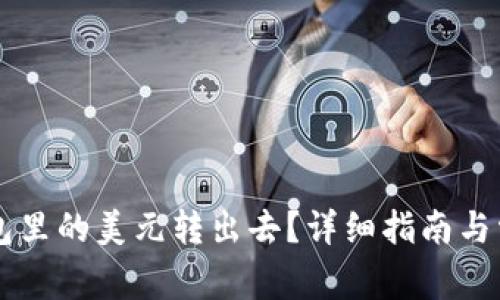 怎么把TP钱包里的美元转出去？详细指南与常见问题解析